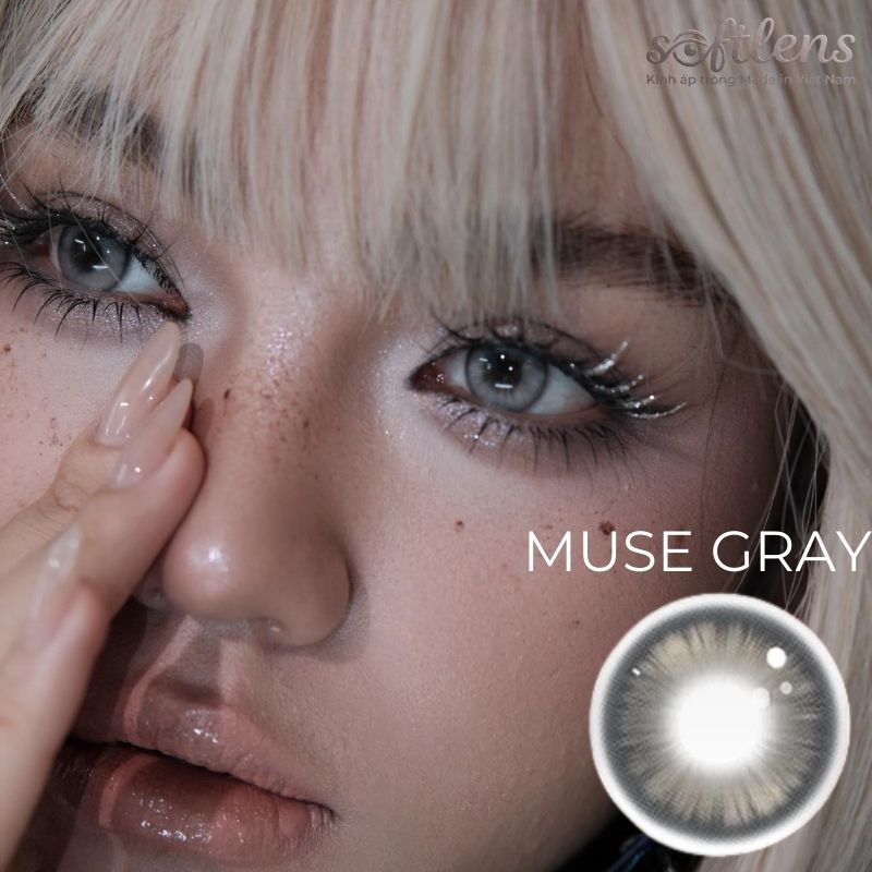 Kính áp tròng Muse Gray